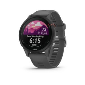 Garmin Forerunner 255 Slate Grey 01
